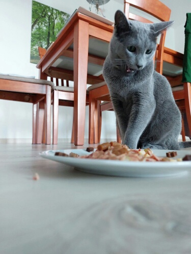 20220722_141427_resized