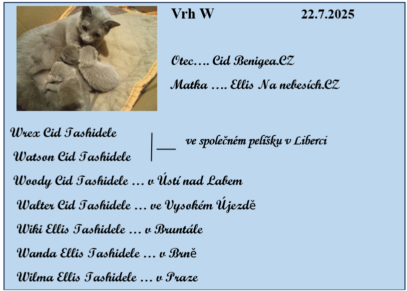 Snímek obrazovky 2025-10-27 165555 xxxx