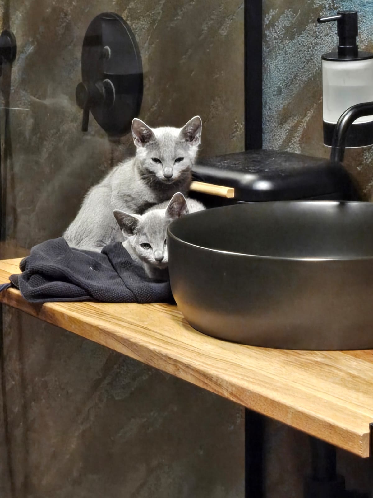 IMG-20251025-WA0003 (1)