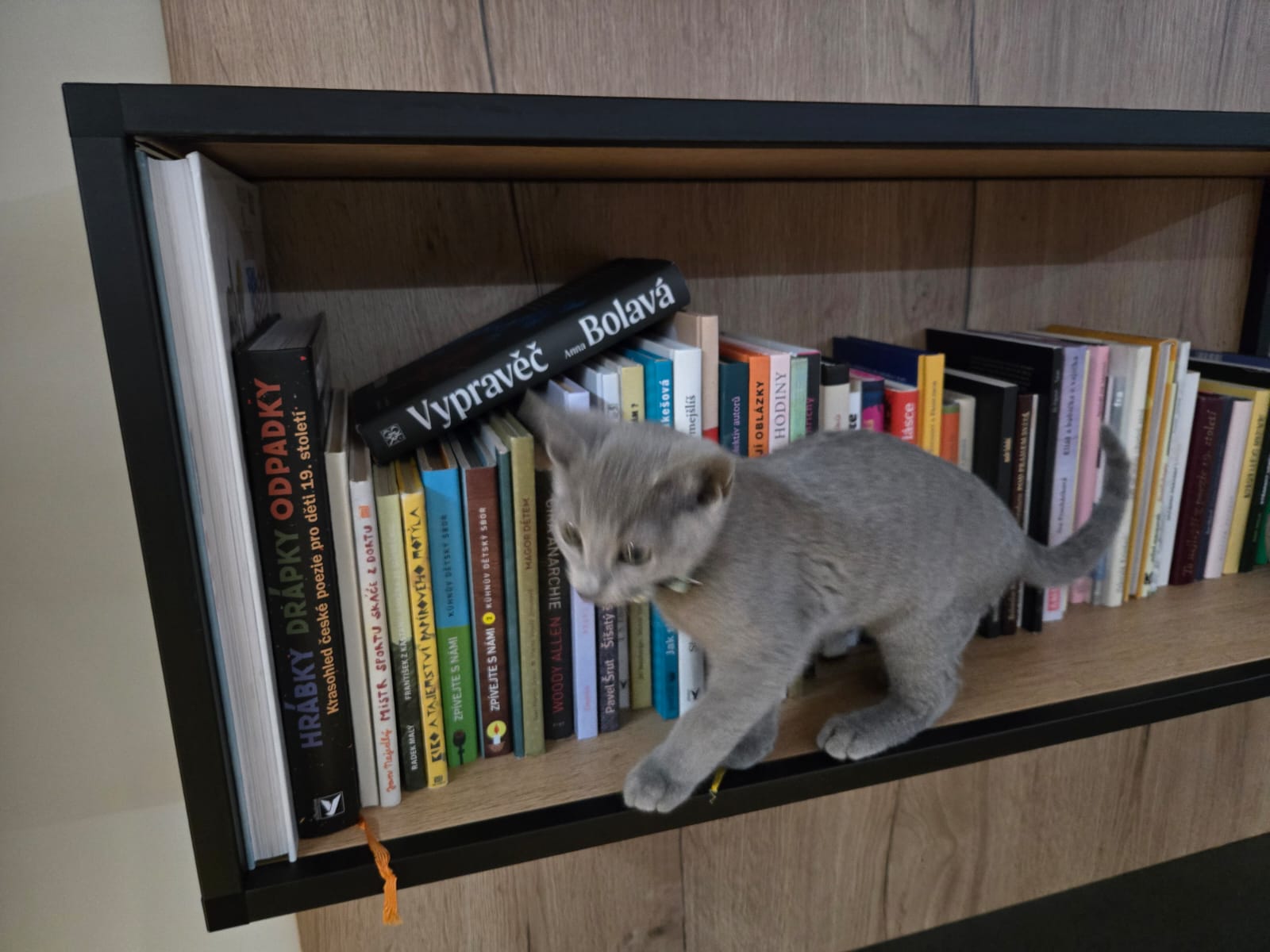 IMG-20251025-WA0002 (1)