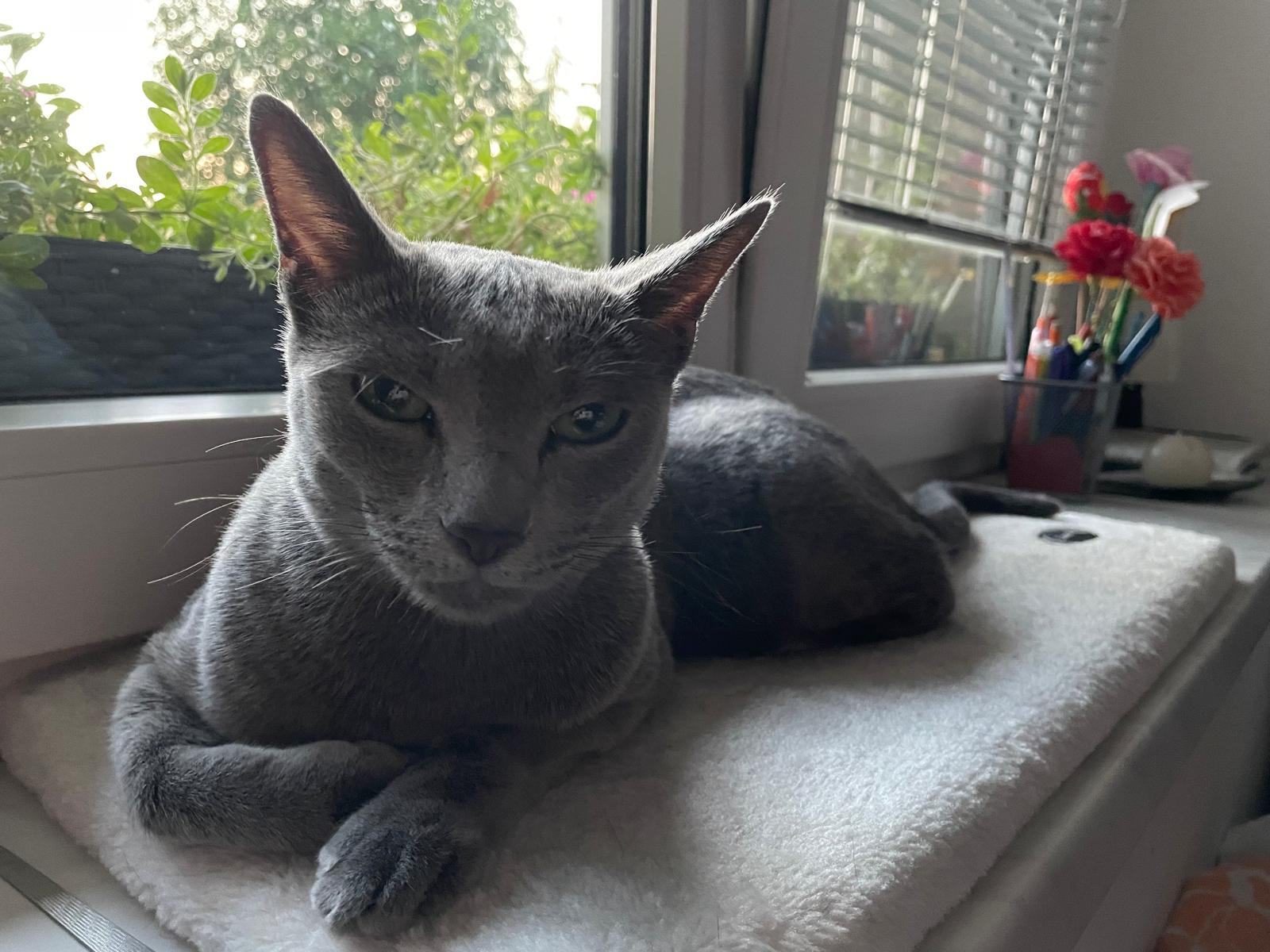 be3ff7ea-3ee3-48e7-bd51-1d61bcaa7e43