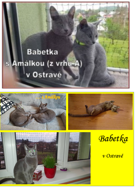 Babetka s Amálkou v Ostravě