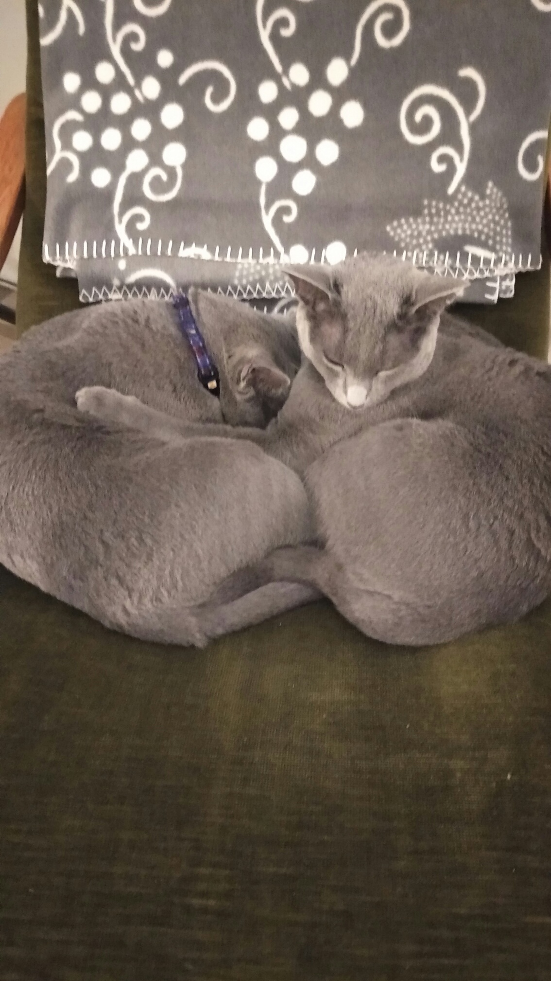 ffy