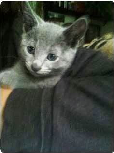 Casper 1