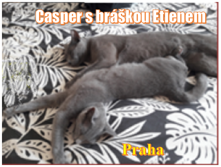 Casper s Etienem