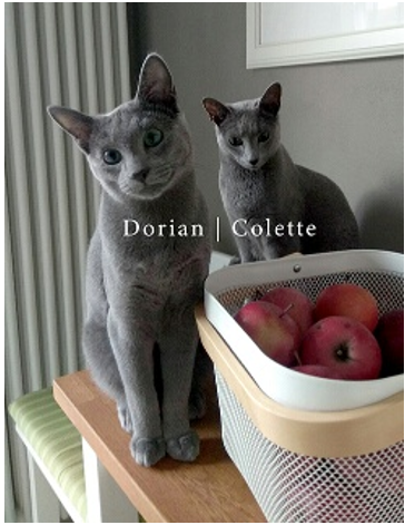 Collete s Dorianem