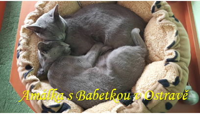 Amálka s Babetkou