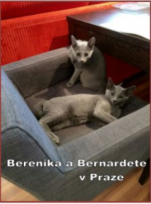 Berenika a Bernadette v Praze