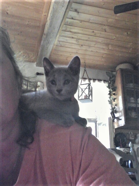 Justina1