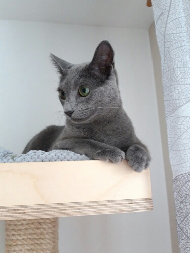 20210718_111919_resized