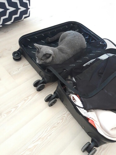 20210706_151520_resized