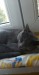 Snapchat-2080972813_resized