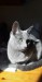 Snapchat-360198033_resized