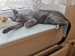 IMG_20220412_182842