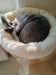 IMG-20250622-WA0000