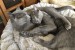 IMG_20260828_1303586